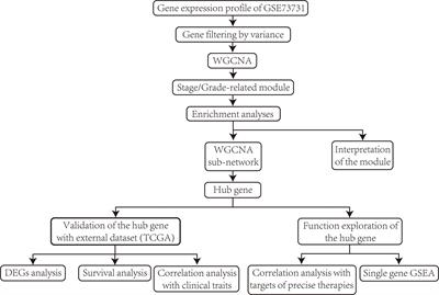 Identification of KIF18B as a Hub Candidate Gene in the Metastasis of Clear Cell Renal Cell Carcinoma by Weighted Gene Co-expression Network Analysis